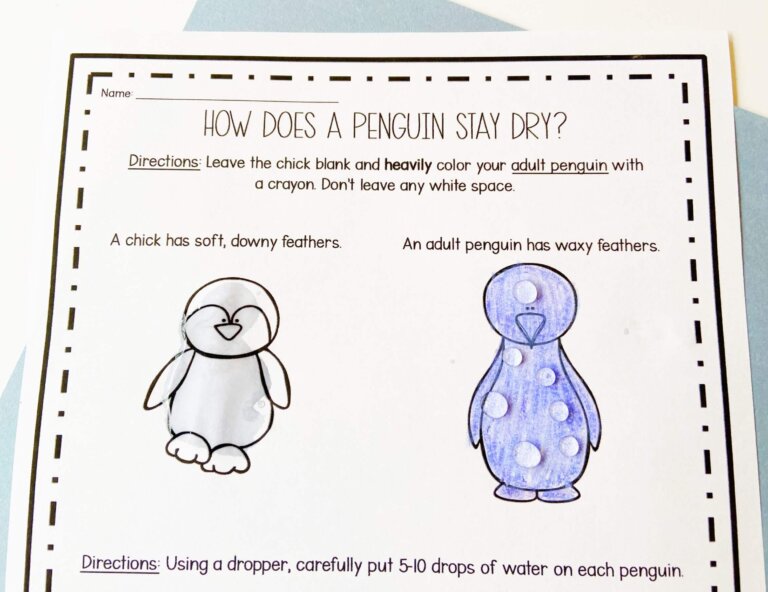 Science investigation on penguin adaptations