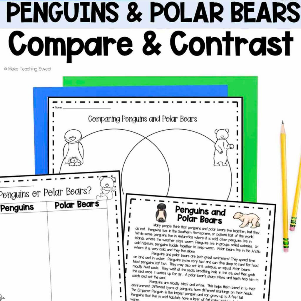 Compare and Contrast penguins and polar bears