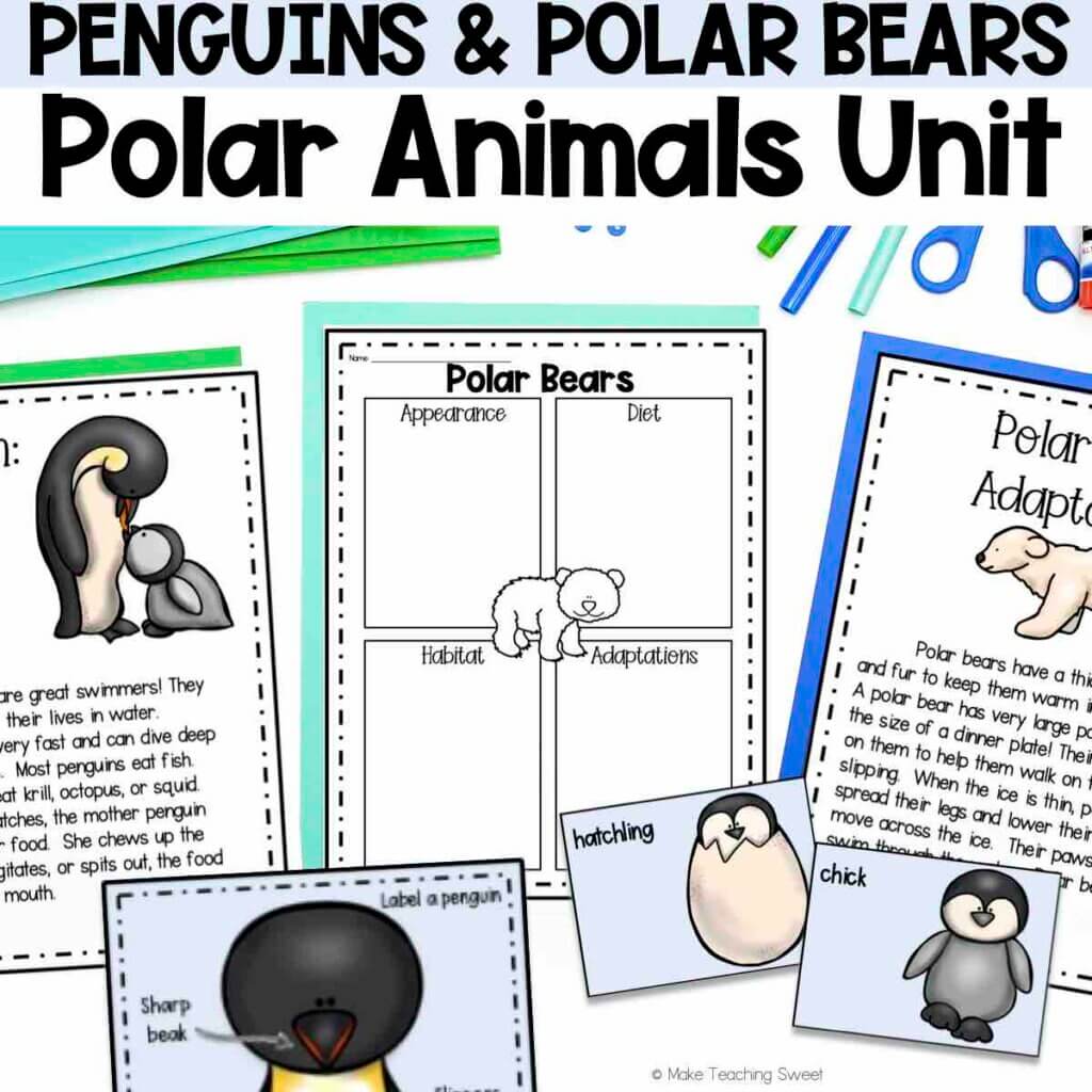 Penguins and Polar Bears Unit